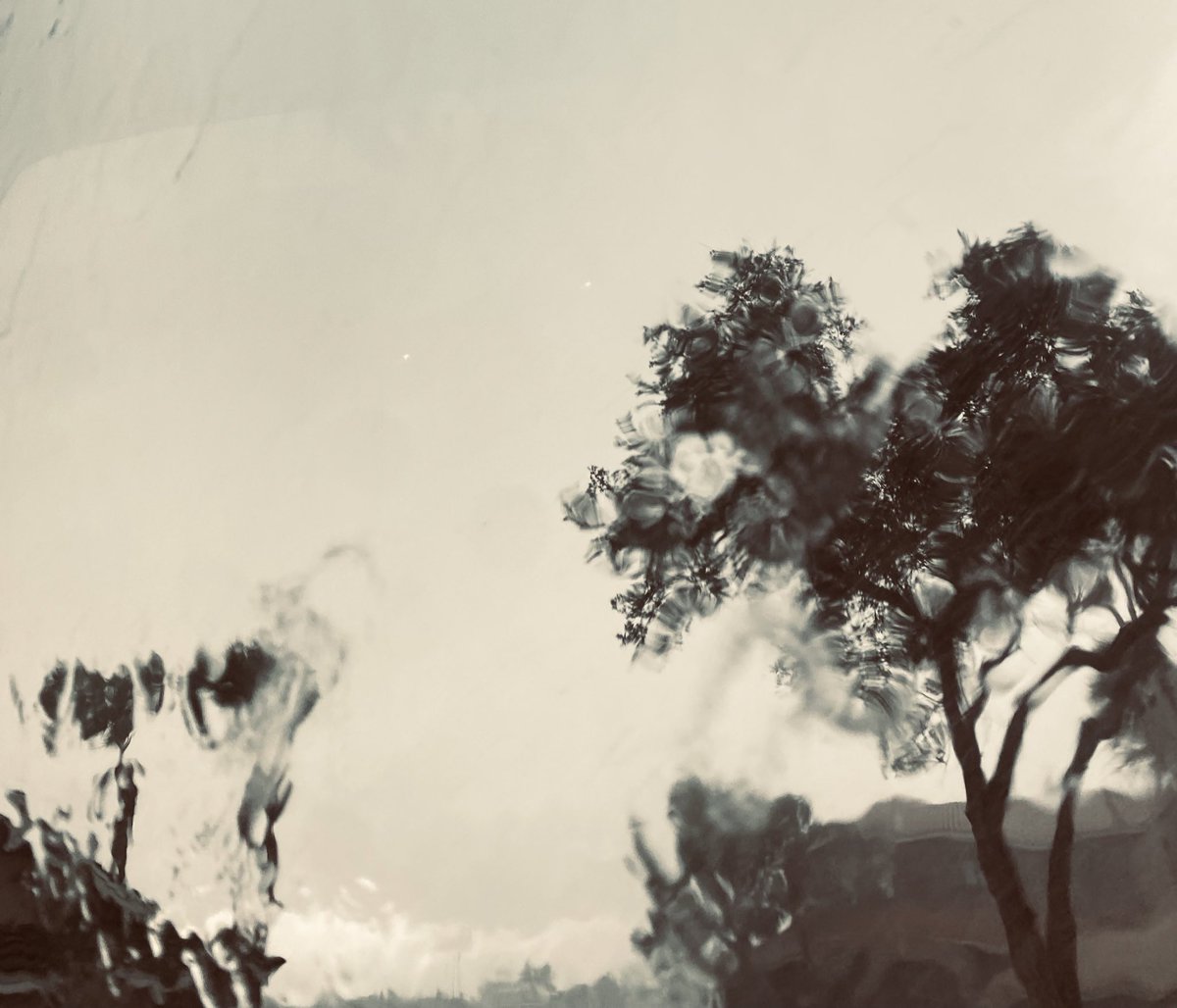 High____Tide's tweet image. raining again