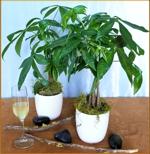 Oberers Flowers tweet media