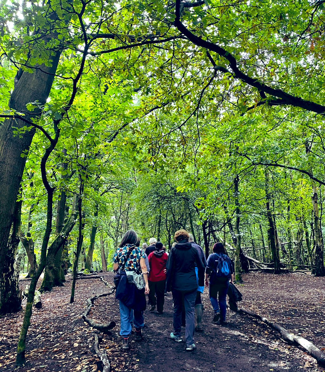 JoSmithDWT's tweet photo. Great to spend this morning at #AllestreePark with @DerbysWildlife @DerbyCC and the @NaturalEngland landscape panel. 

Lots of discussion about how to create thriving, healthy &amp; inclusive urban landscapes and the importance of collaboration, &amp; community participation. https://t.co/ZD7S2h1Kvr