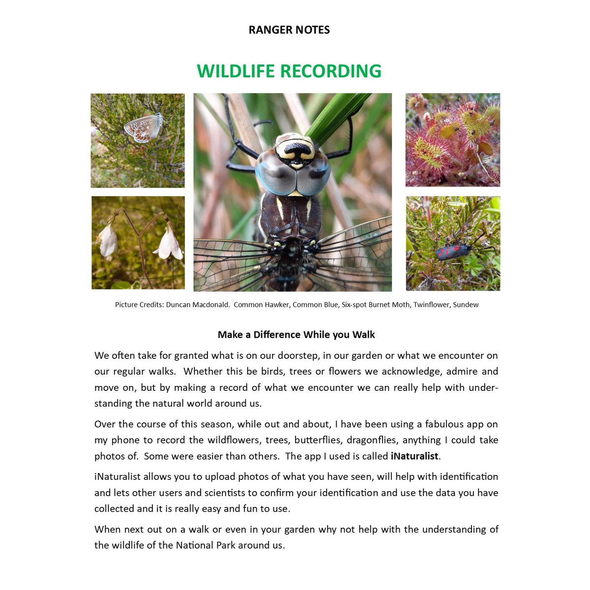 Carrbridge Nature tweet media