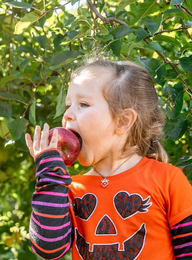 Pure_Ludington's tweet photo. @PureMichigan A3. Take a wagon ride through the countryside to the U-pick apple orchards of Lewis Adventure Farm &amp; Zoo. You’ll find a variety of fruit on the trees and may be surprised by the uniqueness of each in terms of sweetness, color, tartness, and even texture. #PureMichiganChat https://t.co/7jxaZTGAlO