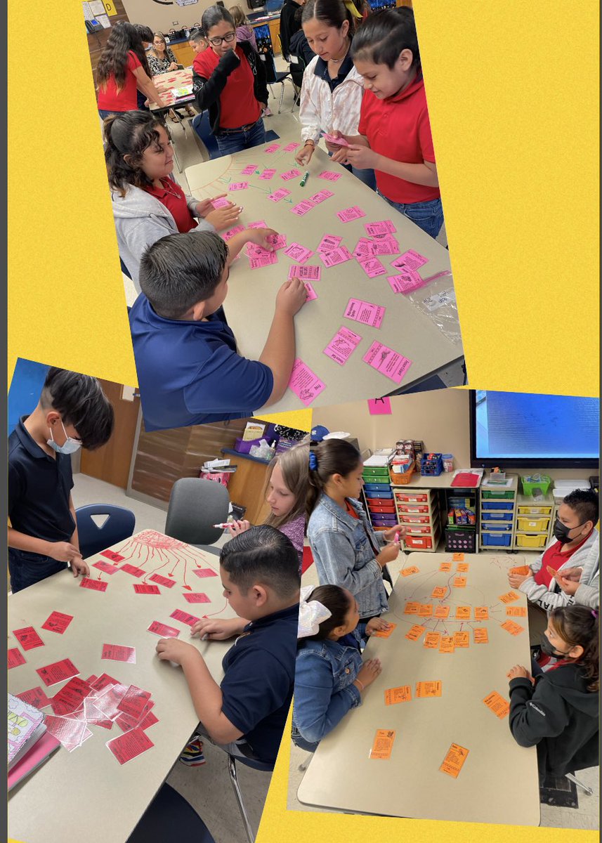 Sandyscilab's tweet image. We continue food webs this week. #betterthanaworksheet ☺️@DRE_Hurricanes @dora_perales