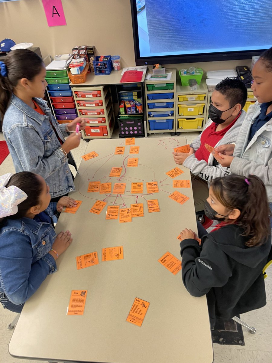 Sandyscilab's tweet image. We continue food webs this week. #betterthanaworksheet ☺️@DRE_Hurricanes @dora_perales