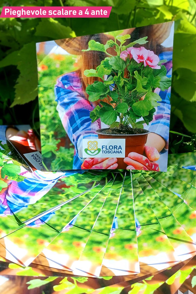 MyBrochure's tweet photo. Pieghevole creativo e originale: Prospettiva Mailing

Ordine effettuato a fine agosto da un nuovo cliente https://t.co/0BR5lC2NEB

Grafica a cura del cliente
Stampa, idea e confezione a cura di https://t.co/0BR5lC2NEB https://t.co/T2sUJMpovf