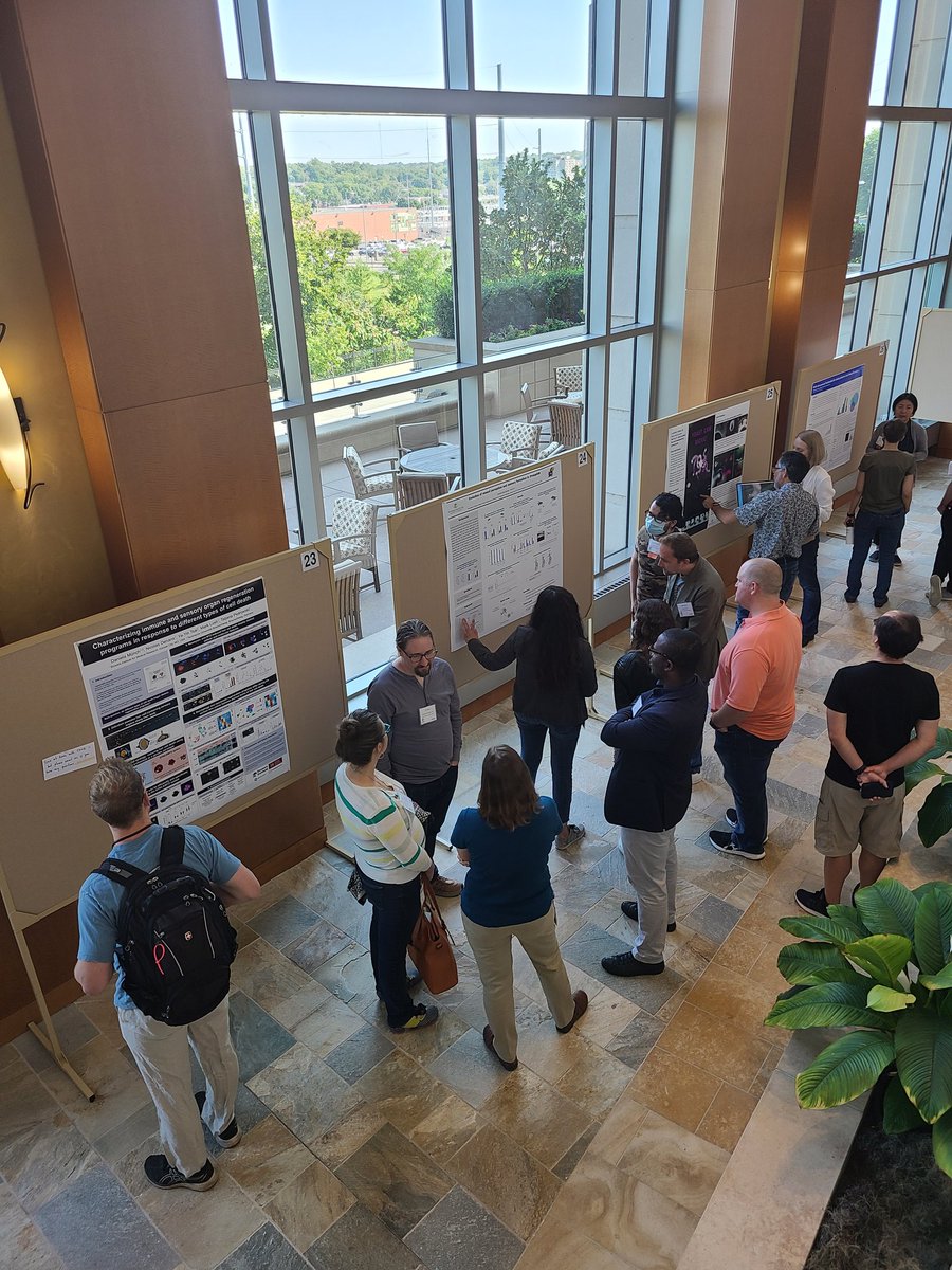 StowersXroads's tweet photo. The amazing science continues at #CRC22 poster session 2! https://t.co/7c0Tnxhks7