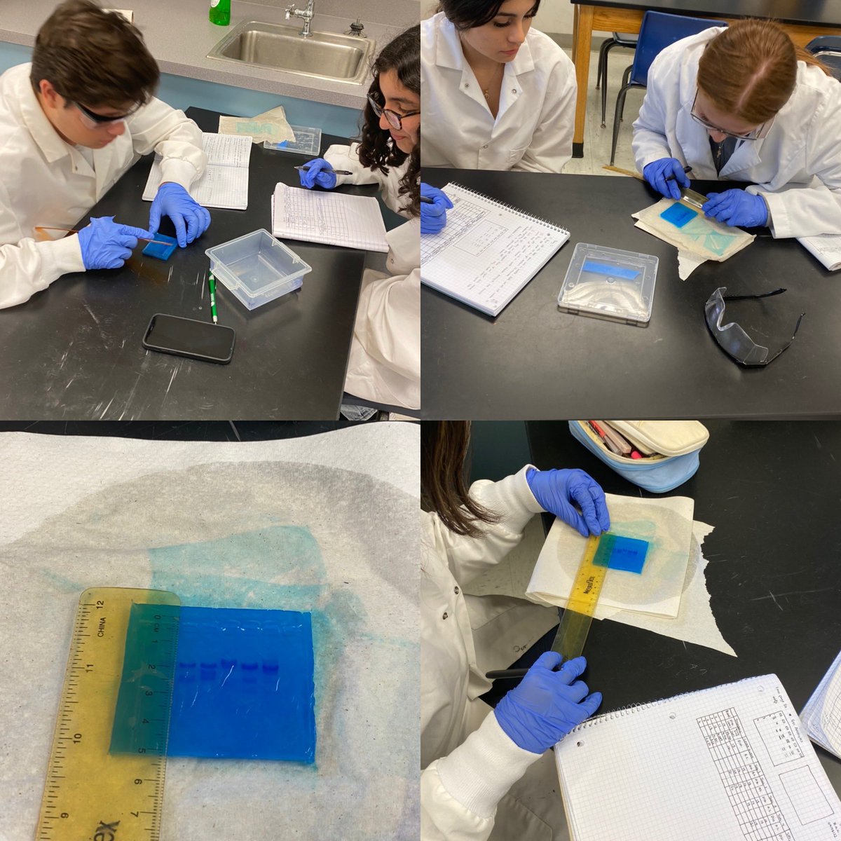 coachsecoy's tweet photo. Students are analyzing and interpreting data from Gel Electrophoresis. They will use this data to determine whose DNA was left behind at a fictitious crime scene. #CTE#SRHSFAMILY https://t.co/iswrqvpWDf