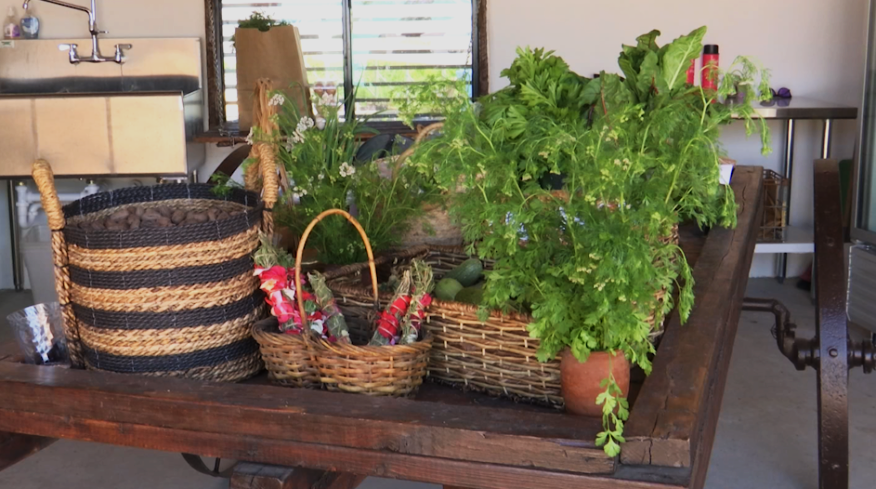 ETVAmerica's tweet photo. Thanks Ralph &amp; Marty Loya and @UTEP's Dr. Alex Mayer for inviting us to #BodegaLoya, a local organic farm and farmers market selling locally-sourced goods. We look forward to supporting your vision for preserving the local farming community through technology. https://t.co/HQyMCKblf9