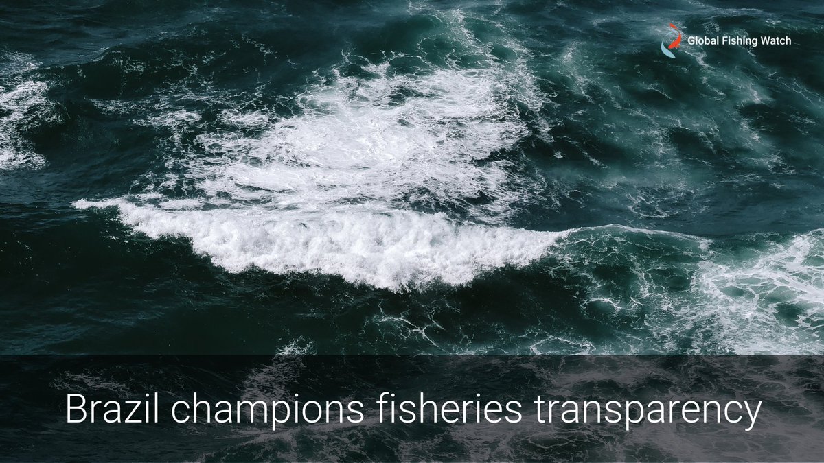 GlobalFishWatch's tweet photo. Brazil championed fisheries transparency in 2021 by sharing its #VMSdata on the @GlobalFishWatch map.
⚓ This increased governance of 1,400+ vessels operating in its waters, setting an important example and improving fishing transparency throughout the region.
#COFI35 https://t.co/5lfZKhbTtm