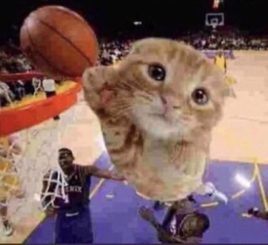marykbligee's tweet photo. i’m finna dunk over her death bed https://t.co/LIFnn4avll