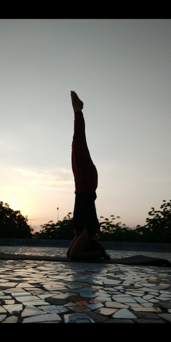 _DeepInsight_'s tweet photo. सर्वे भवन्तु सुखिनः सर्वे सन्तु निरामया।
सर्वे भद्राणि पश्यन्तु मा कश्चित् दुःखभाग् भवेत्।। https://t.co/5vcHn9m0TI