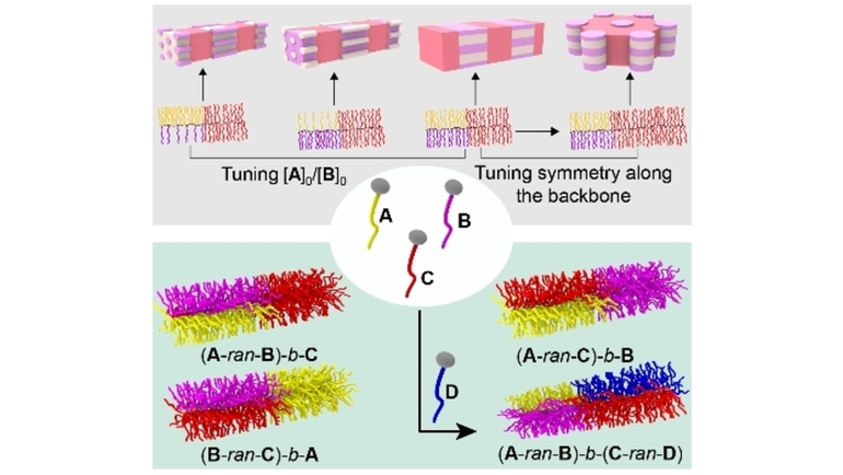 angew_chem's tweet photo. Rapid Access to Diverse Multicomponent Hierarchical Nanostructures from Mixed-Graft #BlockCopolymers (Zhong) @MingjiangZhong https://t.co/mFDHrA8GYX https://t.co/hJ8uubh9ZN