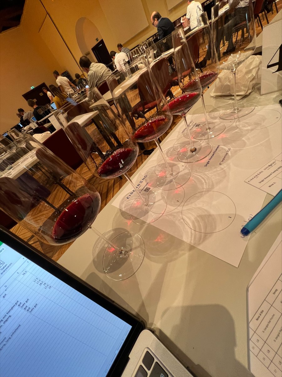 SommGrapes's tweet photo. The last 2 days I spent at Grafenegg for the ÖTW - Österreichische Traditionsweingüter , Leithaberg & Eisenberg DAC Single Vineyard Summit. Tasting Notes Coming Soon!
#ötw #riesling #grünerveltliner #leithaberg #eisenberg #blaufrankisch https://t.co/il1ot0F7So