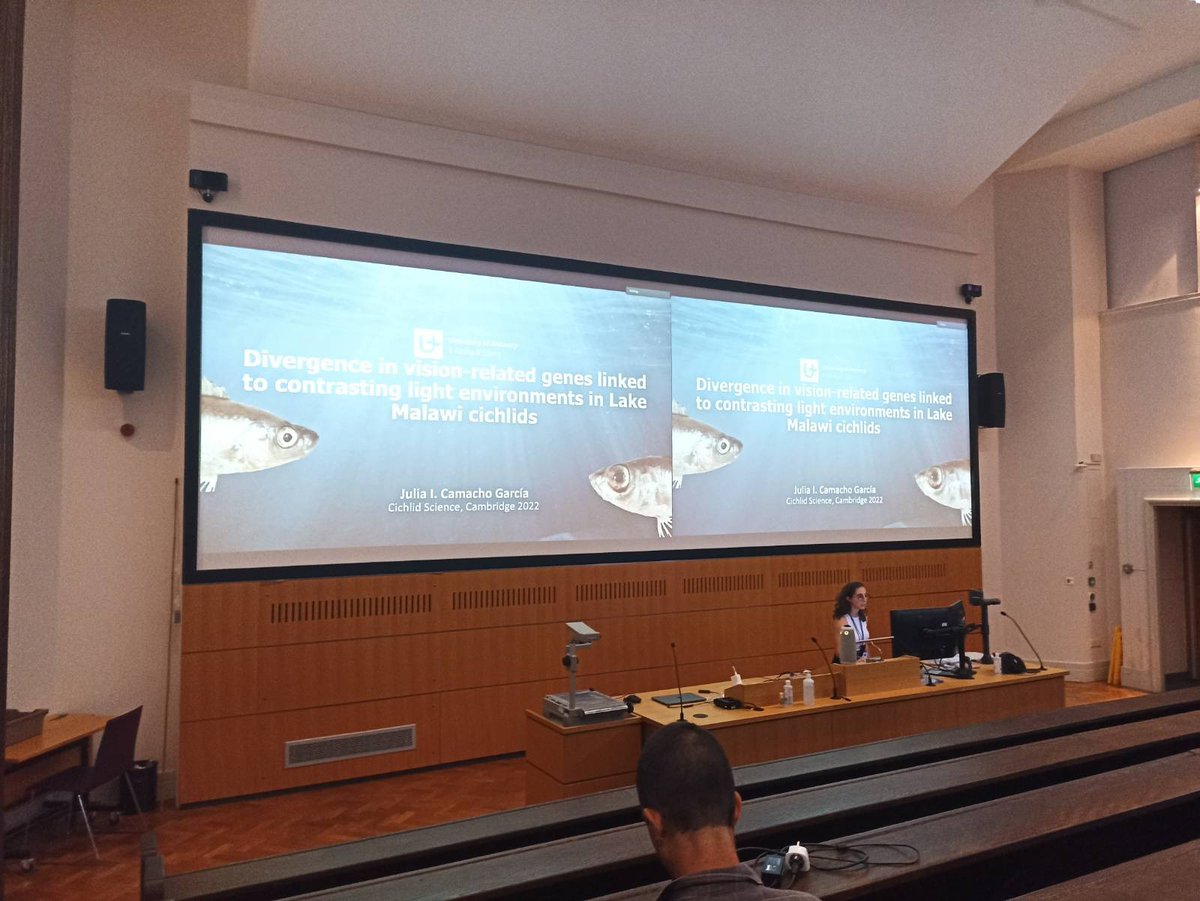 Here we go for the last @Cichlid2022 session of the day, on speciation and adaption genomics. @jule_jop with a great talk on the evolution of vision-related genes in the Malawi cichlid radiation.