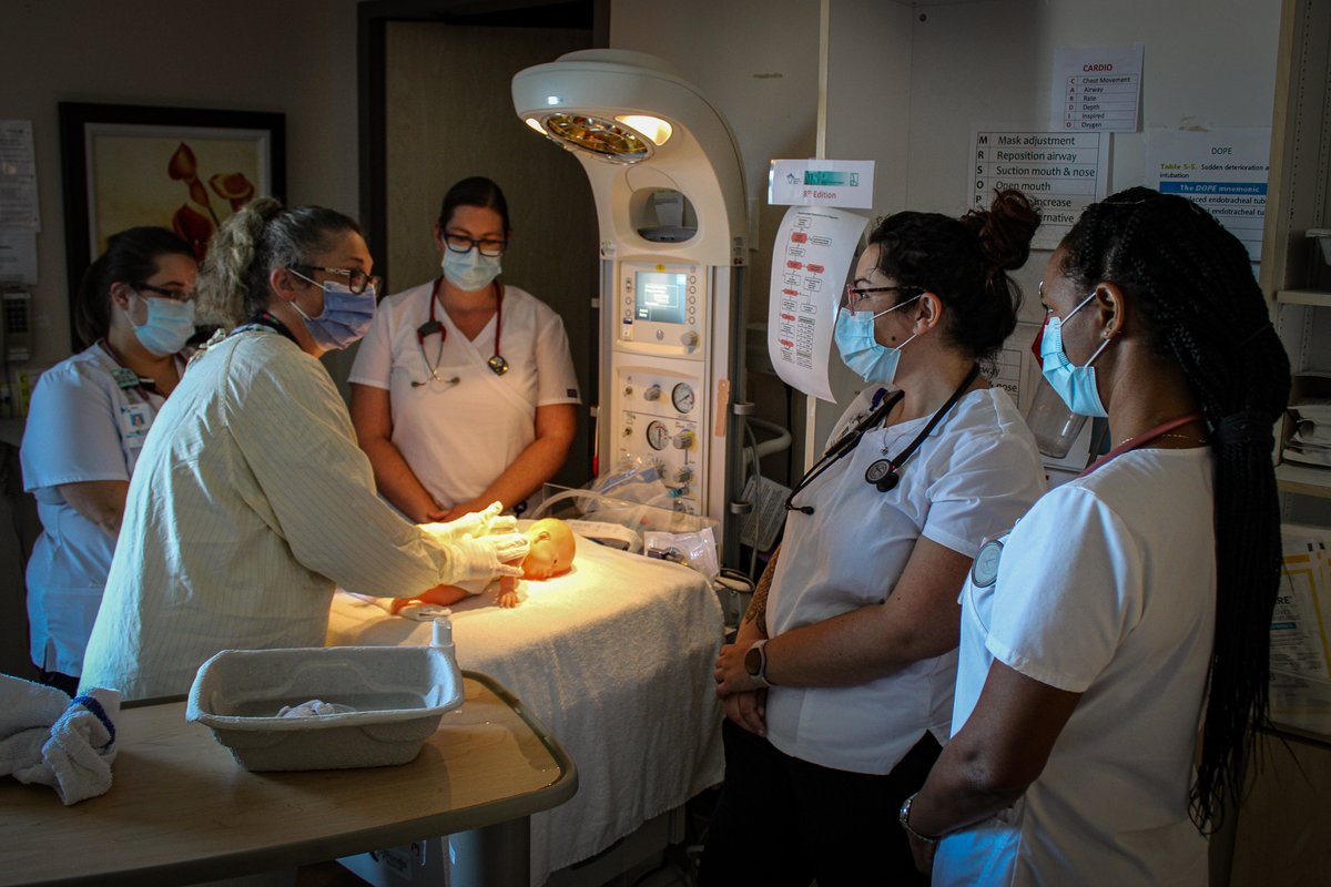 Jeffrey S Rafuse🌳 on Twitter: