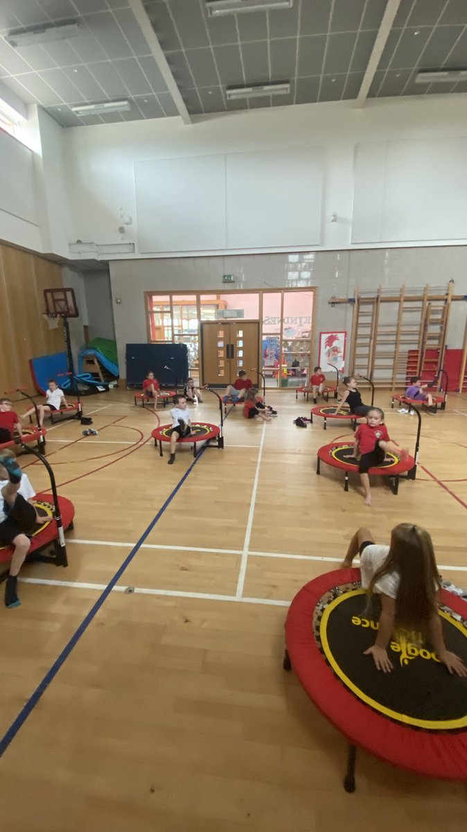 Primary 3 tweet media