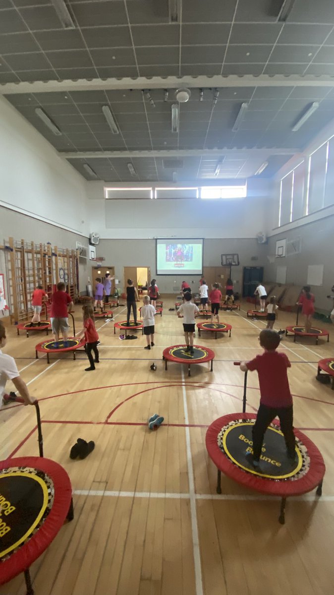 Primary 3 tweet media