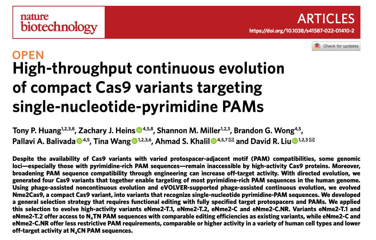 Today we report in <a href="/NatureBiotech/">Nature Biotechnology</a> the high-throughout phase-assisted continuous evolution of compact Cas9 variants that require only single-nucleotide pyrimidine PAM sequences (N4TN and N4CN). This work was a terrific collaboration with <a href="/MoKhalilLab/">Mo Khalil</a>. 1/8)
drive.google.com/file/d/1qmF5G0…