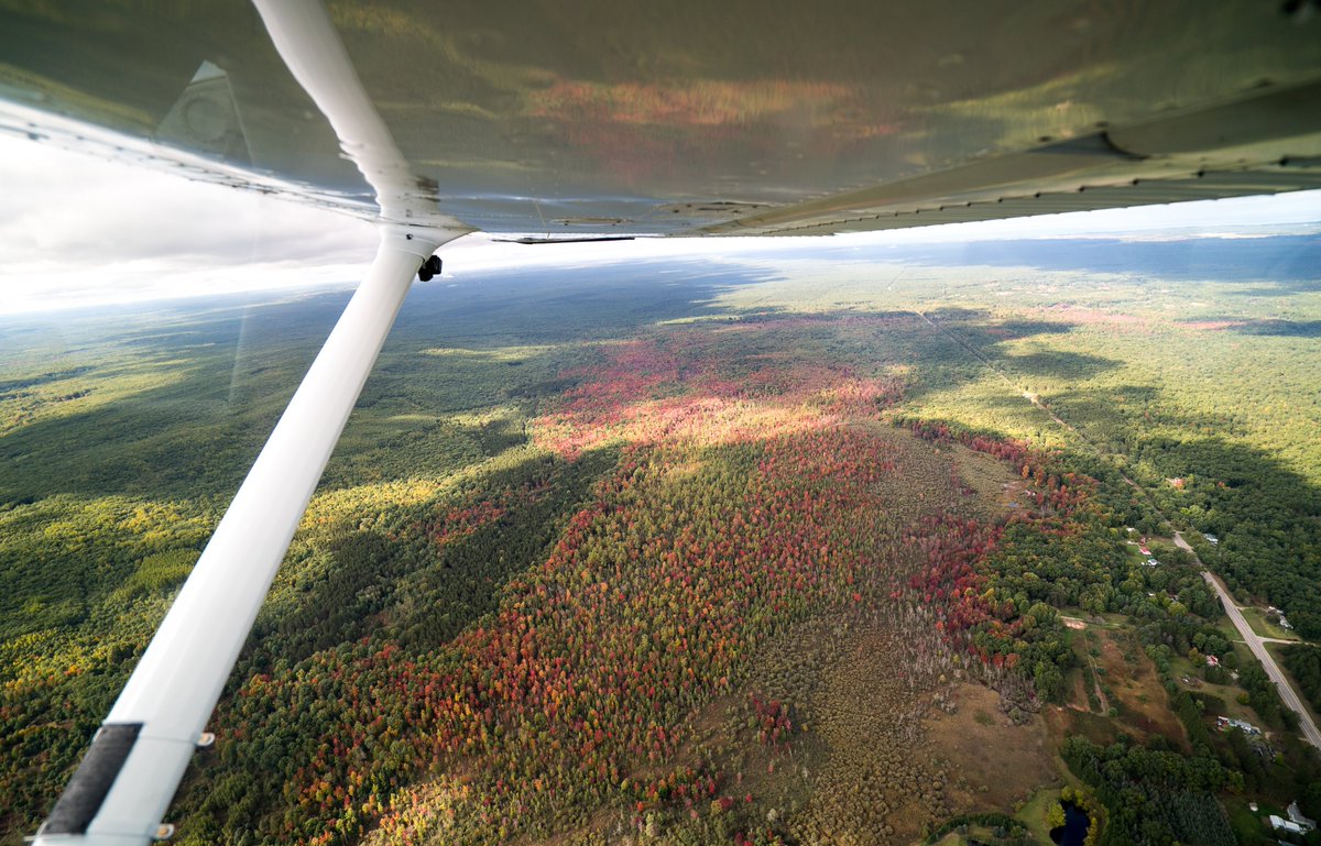 Manistee Tourism tweet media