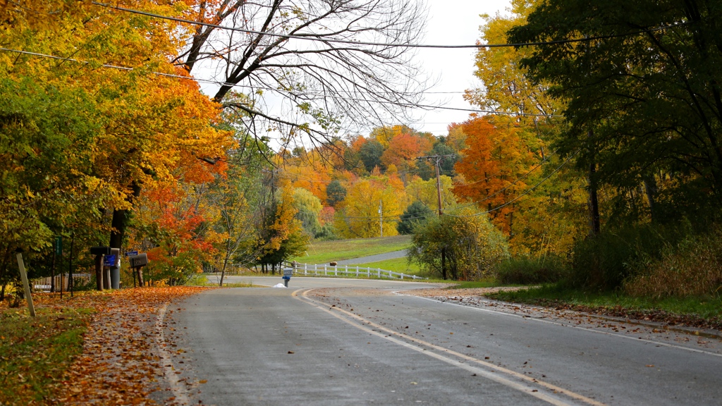 Manistee Tourism tweet media