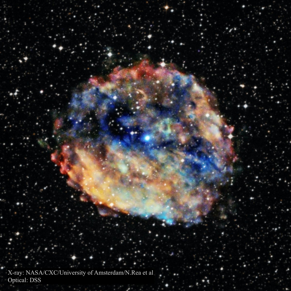 NASA Universe tweet media