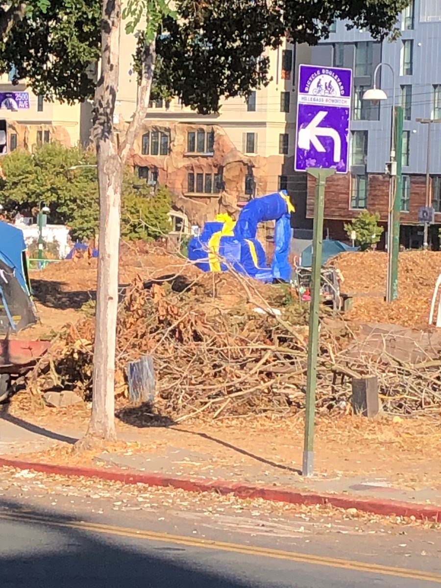 POV: You witness one of the “aggravated assaults” at #PeoplesPark that UC Berkeley police keep warning students about…they gift-wrapped the backhoe 😂 😭
