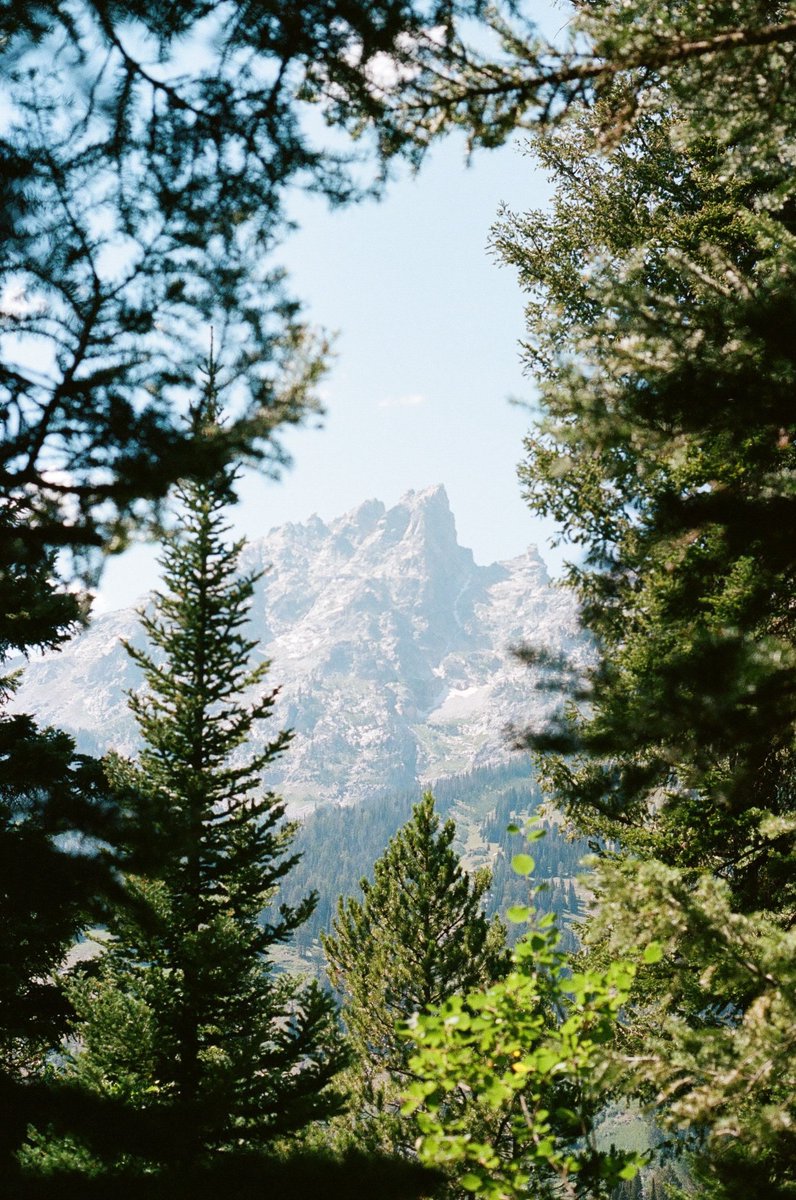 Mountains on Film