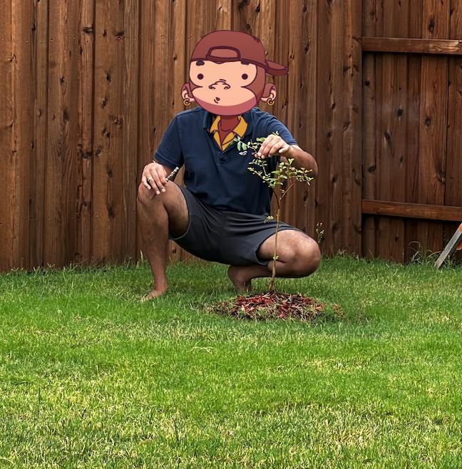 MnmNfts's tweet photo. Today's #JustFlex post is one for mother nature! I love sustainability, and one of the things I did a few days ago was to plant a tree in my backyard! @justape_ #JustPlant @komori_NFT! https://t.co/Is1SnIToIg
