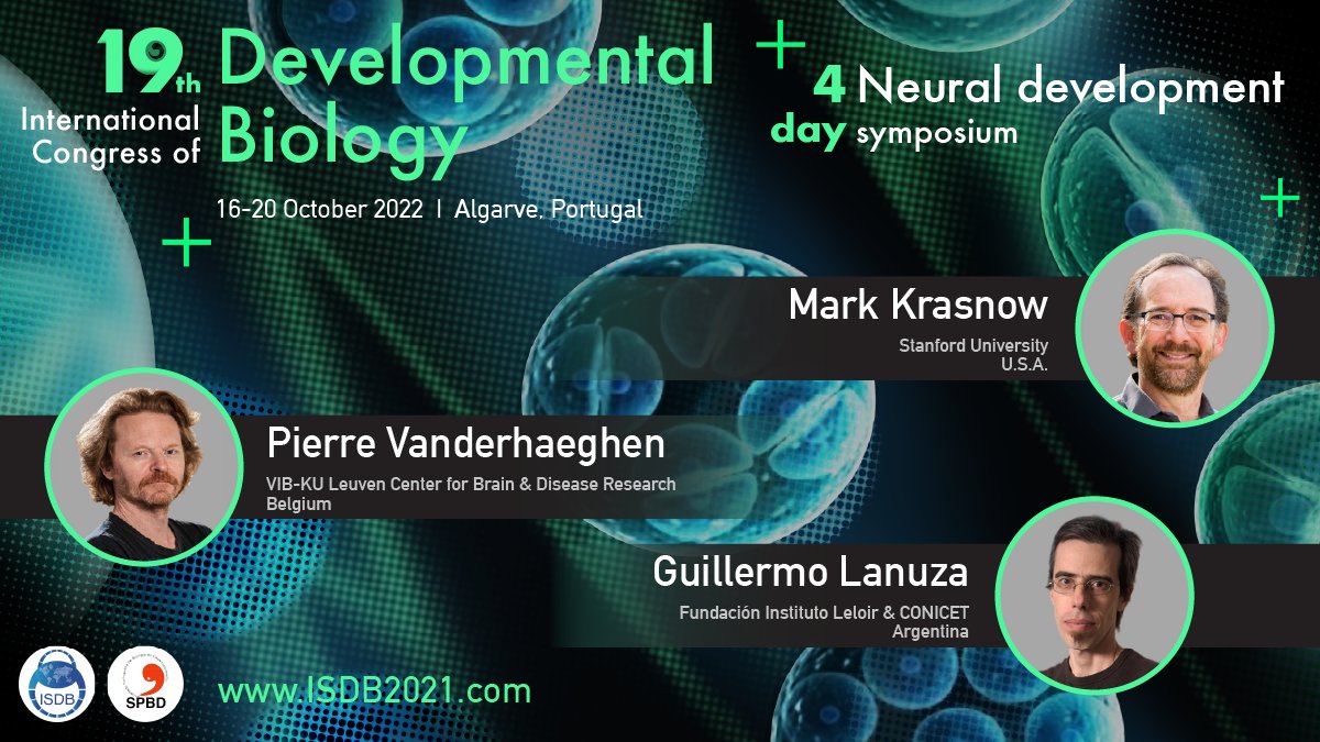 M. Krasnow (🇺🇸<a href="/Stanford/">Stanford University</a>), P. Vanderhaeghen @VanderhaeghenP2 (🇧🇪 <a href="/CBD_VIB/">VIB-KU Leuven Center for Brain & Disease Research</a> <a href="/KU_Leuven/">KU Leuven</a>) &amp; G. Lanuza <a href="/LanuzaLab/">Guillermo Lanuza</a> (🇦🇷 <a href="/fundacionleloir/">Fundación Leloir</a> <a href="/CONICETDialoga/">CONICET Dialoga</a>) are the guest speakers of the #ISDB2021 symposium on #NeuroDevelopment🧠!

📢Register before September 15ᵗʰ 👉ISDB2021.com