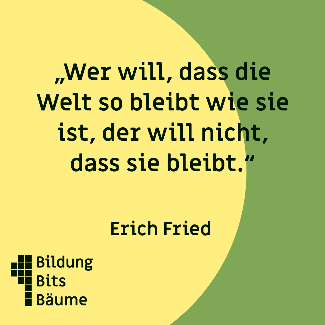hirbel tweet picture