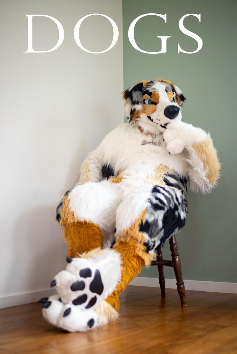 Lotus lafawn furry