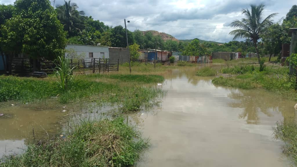 #DeIntéres📢 || Como parte de la línea de acción implementada por el Gob. Alm. @GPintoVzla, el equipo operativo de (SERVISUCRE), realizó drenaje de agua en El Peñón, sector “La Matica”, producto de las lluvias acaecidas en el territorio sucrense.

#VenezuelaPuebloPróspero