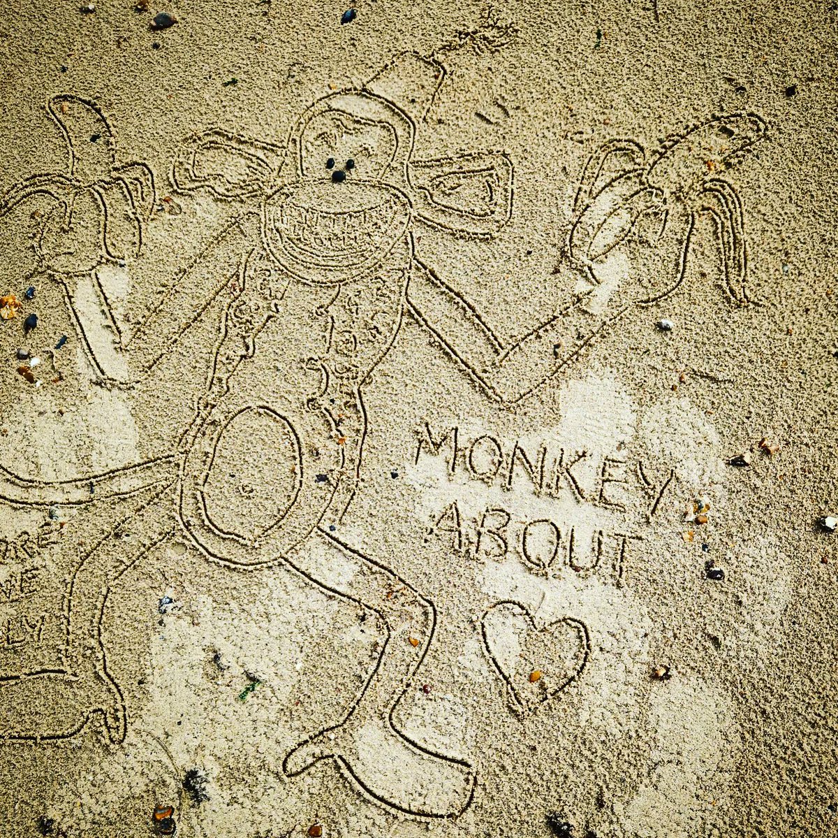 DigiDaughter's tweet photo. Monkey About 🍌 #GoBananas #monkeybone #brendanfraser #SamHamm #HenrySelick #monkey #liveaction #stopmotionanimation #DarkTown #KajaBlackley 
💛 #Covid2022 #Lockdown2021 #morale #VitaminSea 🌊🌊🌊 #DuneToons #Lockdown2020 #comics #cartoons ✍️ #SandBanksy #shorelinesally No.1685 https://t.co/Yhhh9mqOF6