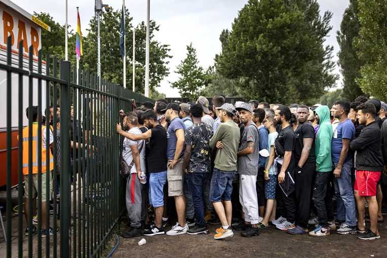 Joke Relmuis tweet media