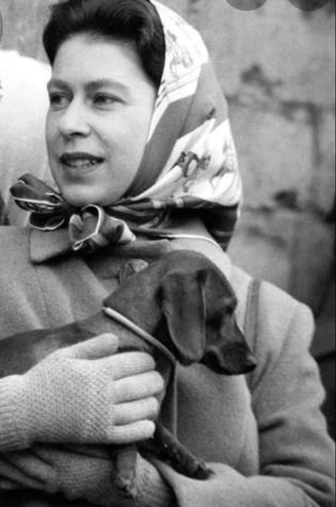 dedicatedtodac1's tweet photo. Rest in peace your majesty #QueenElizabeth 💔💔💔 https://t.co/MYAYPtQU5p