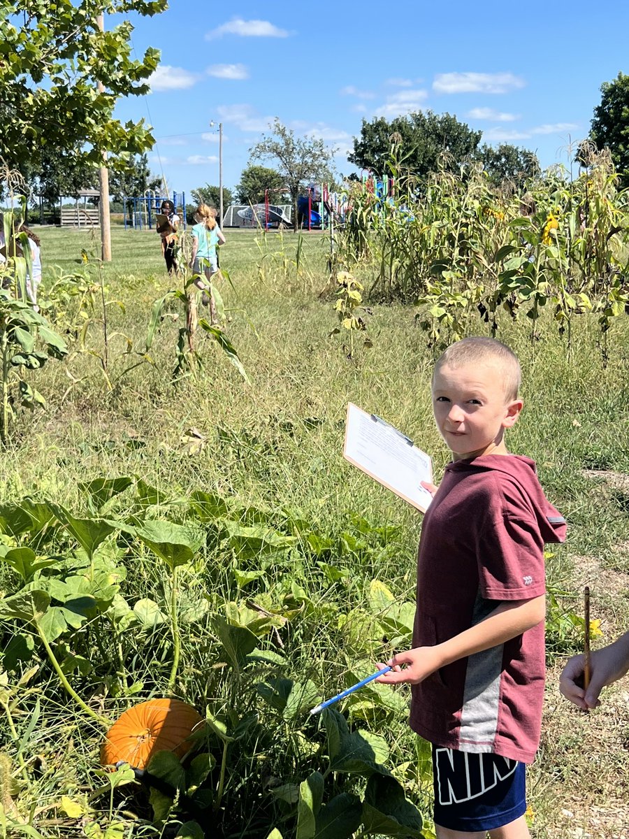 Amanda Ruyle tweet media