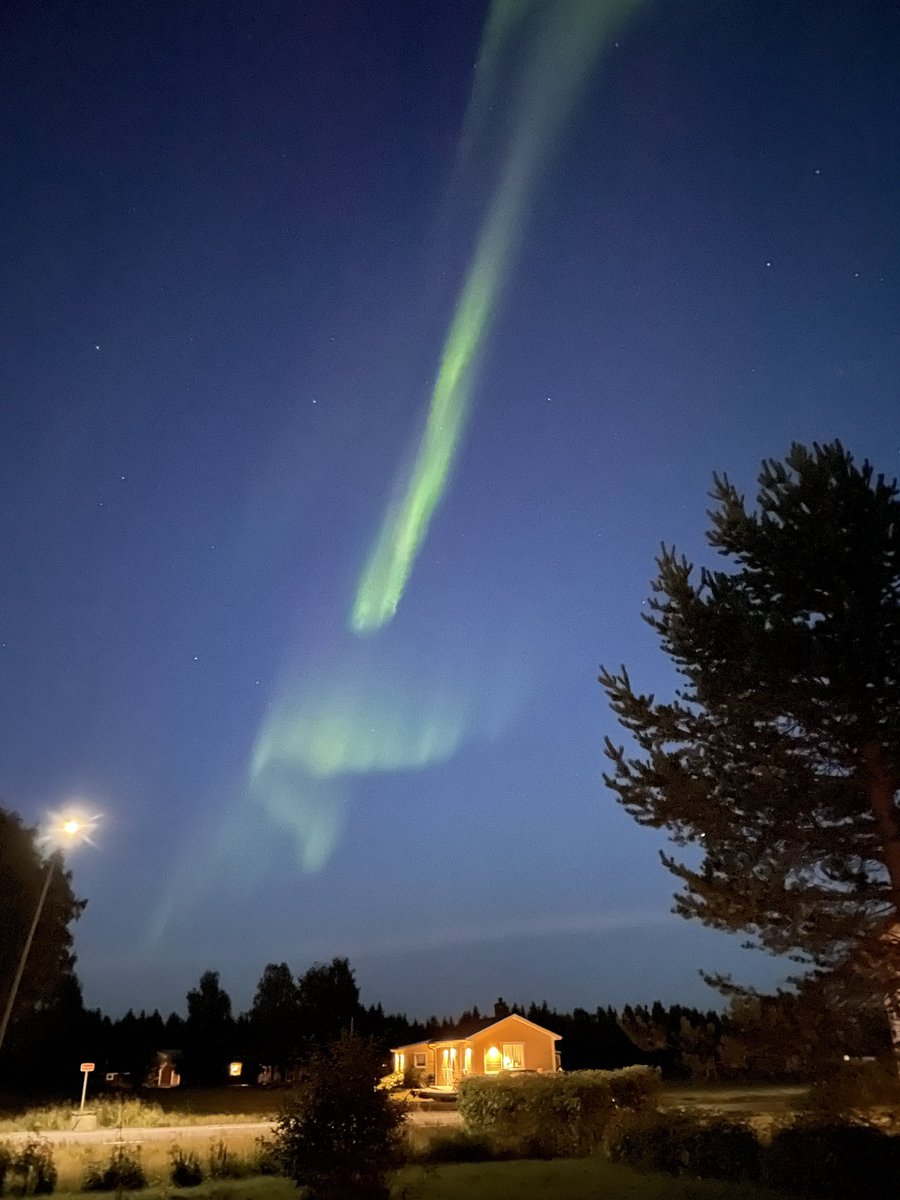 Conny Erkheikki 🇸🇪 tweet media