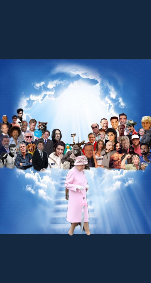 harry_bellfield's tweet photo. Join the legends Queen🙏 https://t.co/C4usgp37Fp