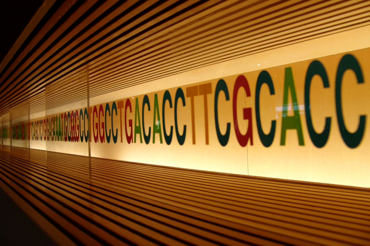 Congratulations @catalogdna! CATALOG has entered into a partnership with <a href="/Seagate/">Seagate</a> to focus on automating the DNA-based storage #platform using Seagate’s specially designed electronic #chips. Learn more about their breakthrough collaboration in <a href="/TechCrunch/">TechCrunch</a>: tcrn.ch/3exexmM
