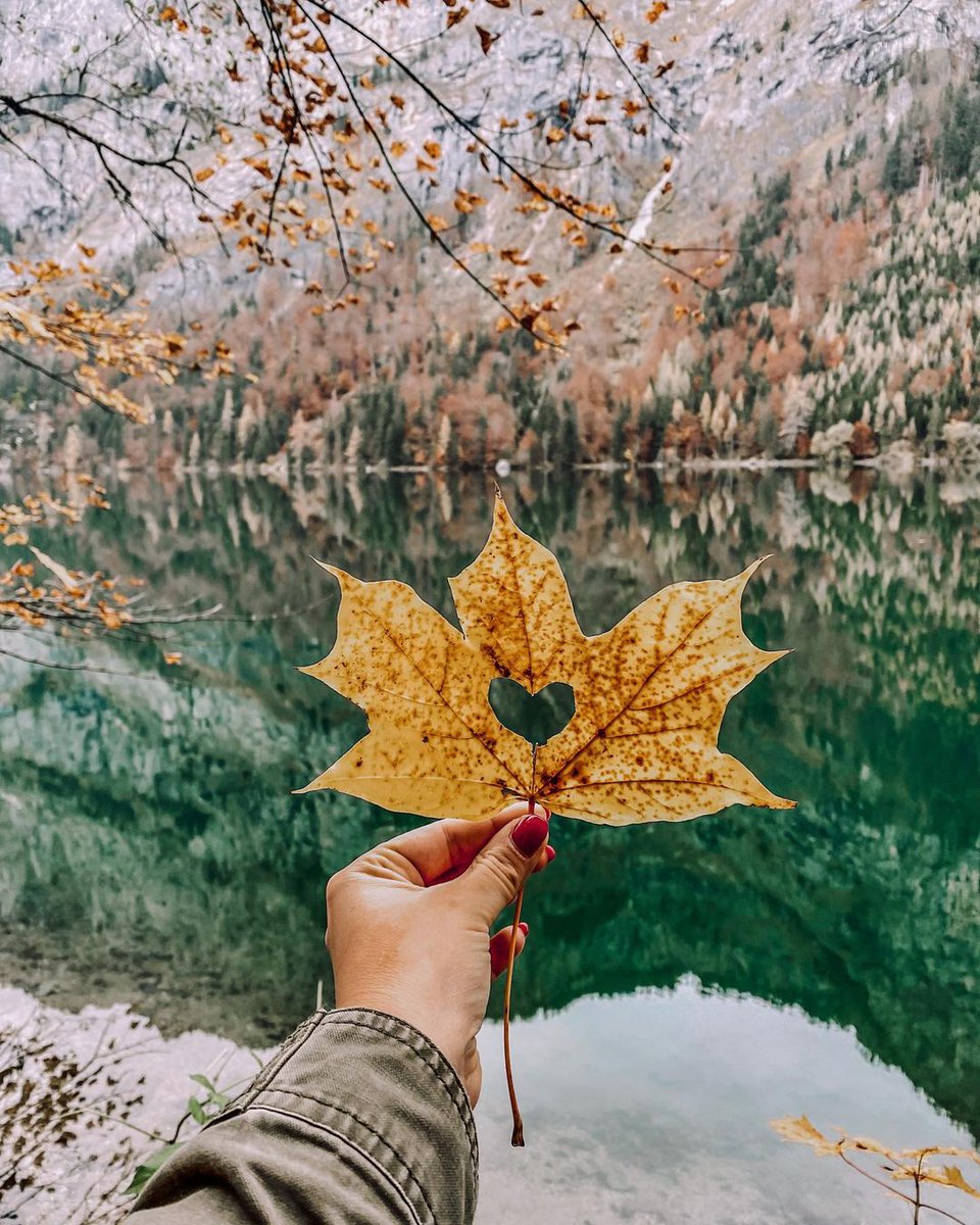 shilass2's tweet photo. 🤪

#travelgram #vacationmode #allaboutadventures #happiness #findmeoutside #roadtrip #wanderlust #feelthealps #frenchalps #hautesavoie #stayandwander #sheexplores #neverstopexploring #travelwithme #instatravel #exploremore #alpenliebe #alpenflair #summertime https://t.co/RKMI7tR6wu