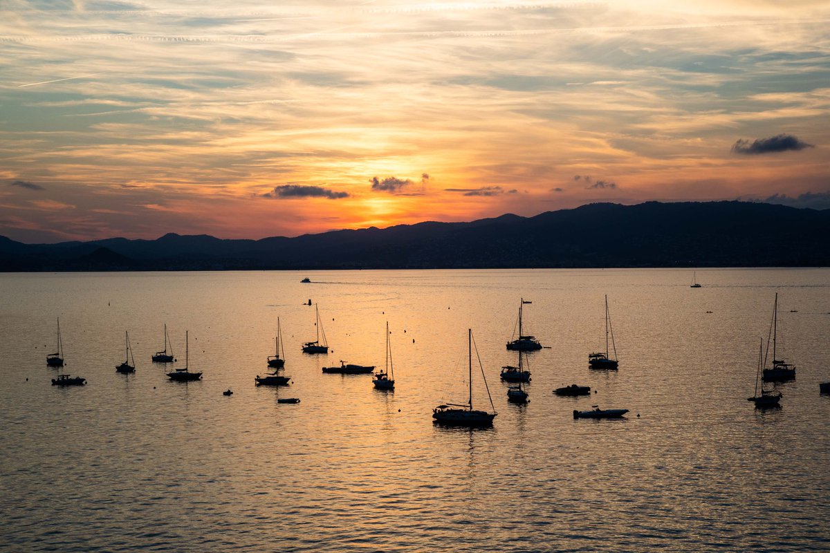 CannesIsUp's tweet photo. Un magnifique cliché de cette journée du DDA5 grâce à nos photographes présents sur l’Ile sainte marguerite.

Nicolas Gavet
Mohamed Benamara
Léna Maruitte
Alexandre Baccalino

Nous garderons tous en tête vos images ! ✨
Merci, rdv DDA6  ! 😎
#startupsummit #cannesisup #frenchtech https://t.co/UxMzC1VEqL