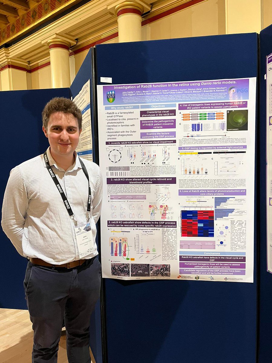 JohnFehilly's tweet photo. Delighted to have presented our work on Rab28 from @OPGG_UCD at #ZDM15 this week in Sheffield. In particular I was trilled to have received a poster award! 🐟👁🧬 @BreandanKennedy @ZDMSociety @fight_blindness @NUIMerrionSq @scienceirel @IrishResearch https://t.co/fQjZNSVPHa