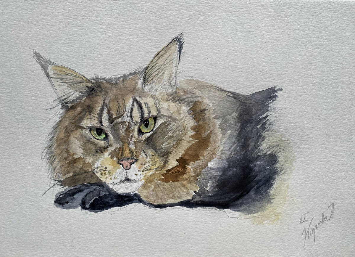 Eva Kopecká tweet media