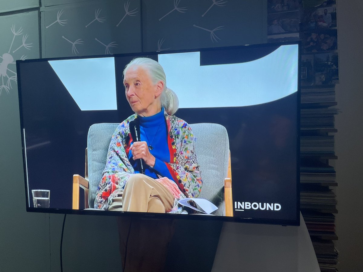 its_b_raposo's tweet photo. “On the left wing are men, on the right are the ladies. Only when we’re equal will we truly fly” @DrJaneGoodall 

Truly and inspirational spotlight with @INBOUND 

#Inbound2022 #spitfireinbound https://t.co/hA3yhBZPYf