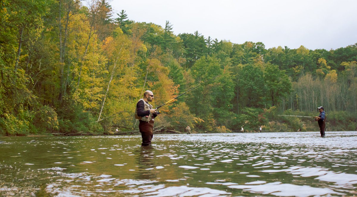 Manistee Tourism tweet media