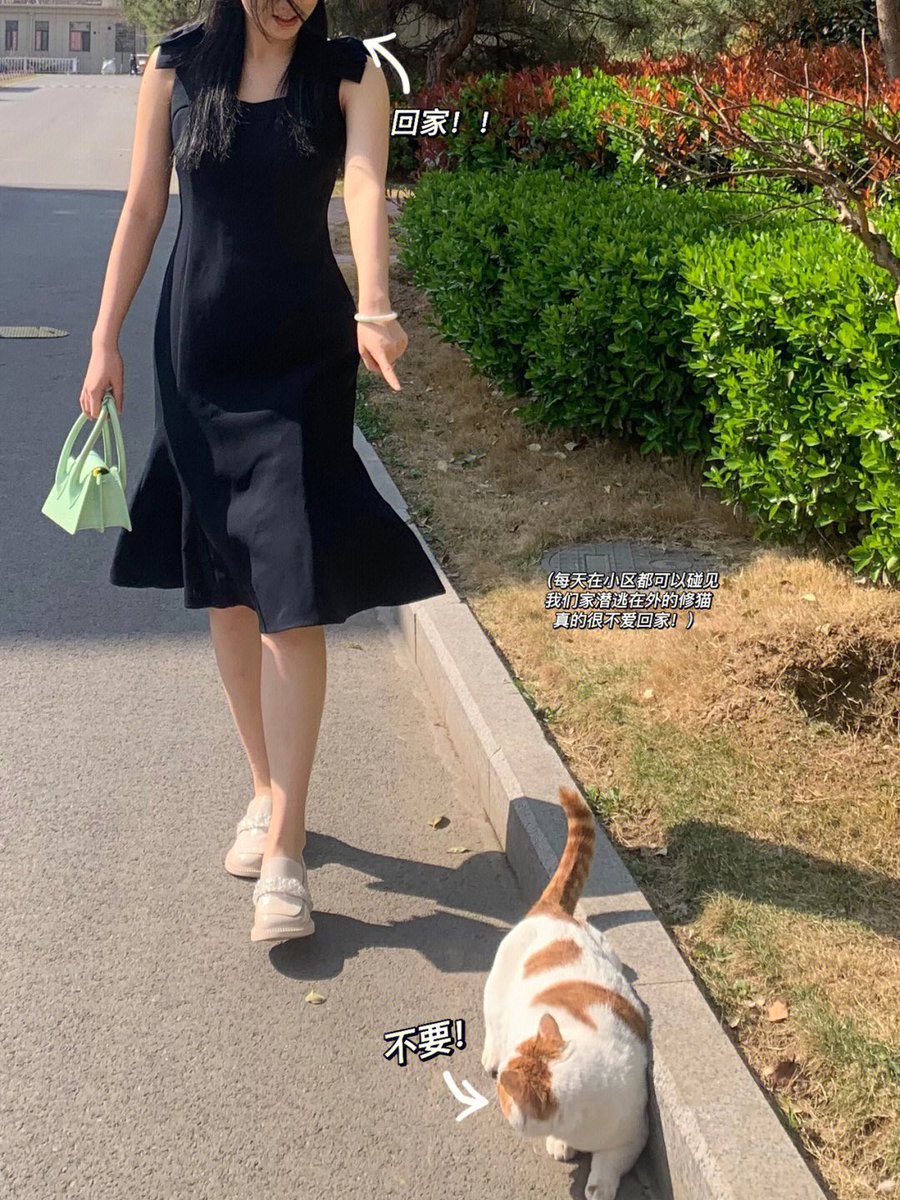 AA_RTV9's tweet photo. 再不乖就饿你三天 嘻嘻🤭 https://t.co/BxMVym69p5