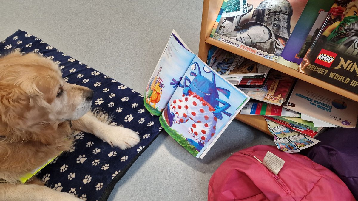 @Therapet-CCST (@therapetc) on Twitter photo <a href="/TherapetC/">@Therapet-CCST</a> 𝐂𝐨𝐫𝐫𝐢𝐛'𝐬 1st day at 𝐒𝐭 𝐀𝐧𝐭𝐡𝐨𝐧𝐲’𝐬 𝐏𝐫𝐢𝐦𝐚𝐫𝐲 𝐒𝐜𝐡𝐨𝐨𝐥 for their 𝐑𝐞𝐚𝐝𝐢𝐧𝐠 𝐖𝐢𝐭𝐡 𝐃𝐨𝐠𝐬 𝐩𝐫𝐨𝐠𝐫𝐚𝐦𝐞 in Johnstone with volunteer 𝐂𝐚𝐭𝐡𝐞𝐫𝐢𝐧𝐞 & he loves them reading stories to him ! <a href="/StAnthonysSAPS/">St Anthony's Primary</a>
<a href="/TherapetC/">@Therapet-CCST</a> <a href="/CanineConcern/">CanineConcernTrust</a> <a href="/TherapetC/">@Therapet-CCST</a> 𝐂𝐨𝐫𝐫𝐢𝐛'𝐬 1st day at 𝐒𝐭 𝐀𝐧𝐭𝐡𝐨𝐧𝐲’𝐬 𝐏𝐫𝐢𝐦𝐚𝐫𝐲 𝐒𝐜𝐡𝐨𝐨𝐥 for their 𝐑𝐞𝐚𝐝𝐢𝐧𝐠 𝐖𝐢𝐭𝐡 𝐃𝐨𝐠𝐬 𝐩𝐫𝐨𝐠𝐫𝐚𝐦𝐞 in Johnstone with volunteer 𝐂𝐚𝐭𝐡𝐞𝐫𝐢𝐧𝐞 & he loves them reading stories to him ! <a href="/StAnthonysSAPS/">St Anthony's Primary</a>
<a href="/TherapetC/">@Therapet-CCST</a> <a href="/CanineConcern/">CanineConcernTrust</a>