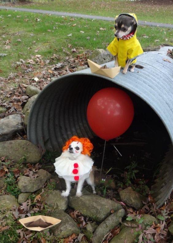 juda1313's tweet photo. You’ll float too. https://t.co/jrGf59AgFo
