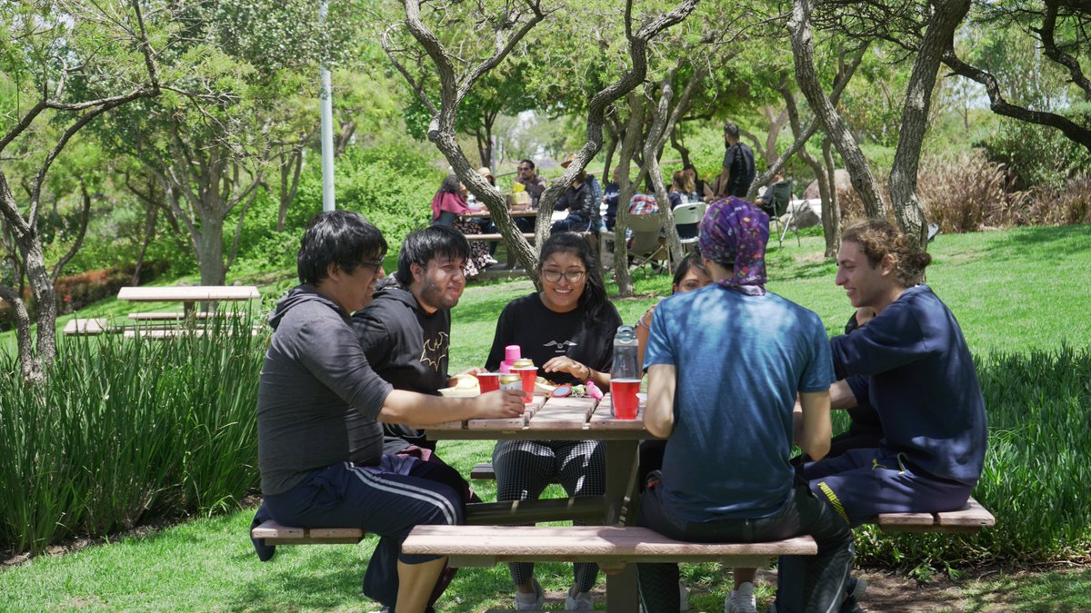 Vista Solutions Inc. tweet media