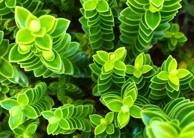 Precision #Agriculture #Technology: The Future of Precision Farming using #IoT.  (Digiteum) #AgTech #IoTPL #IoTCL #IoTPractioner #IoTCommunity <a href="/IoTcommunity/">IoT Community®</a> <a href="/IoTchannel/">IoT Channel of @IoTCommunity®</a>  buff.ly/3xwtQTB