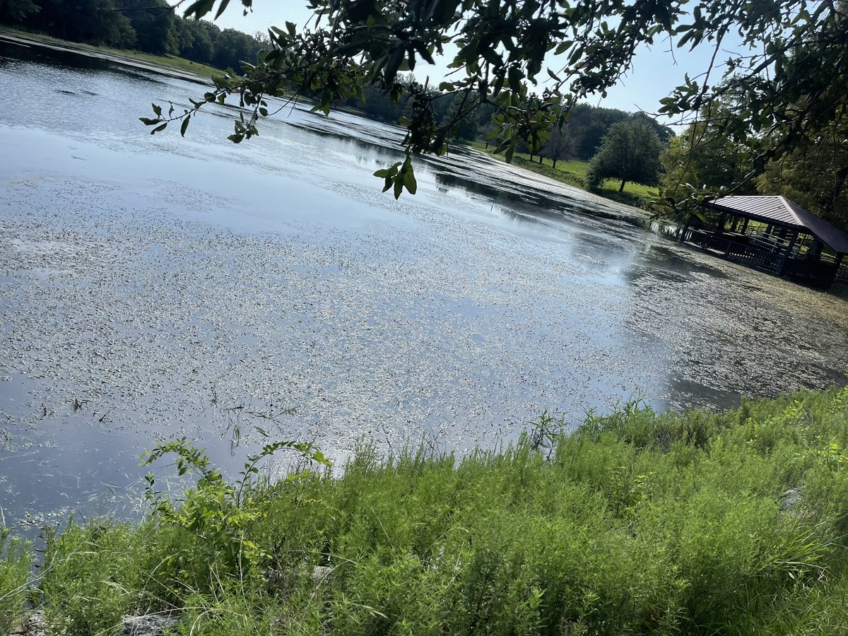 Fishing with Pops!!!